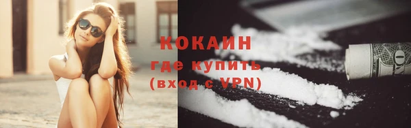 дурь Богородицк