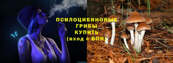 дурь Богородицк