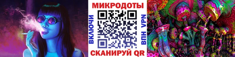 Псилоцибиновые грибы прущие грибы  Балтийск 
